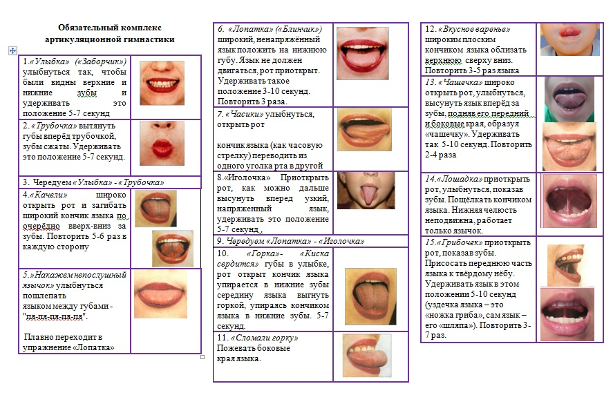 Развитие артикуляционного аппарата